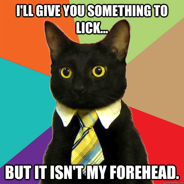 I'll give you something to lick... But it isn't my forehead.  Business Cat