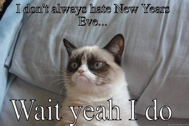 I DON'T ALWAYS HATE NEW YEARS EVE... WAIT YEAH I DO Grumpy Cat