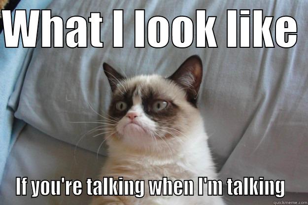 WHAT I LOOK LIKE  IF YOU'RE TALKING WHEN I'M TALKING  Grumpy Cat