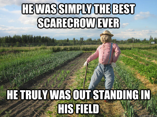 He was simply the best scarecrow ever He truly was out standing in his field  Scarecrow