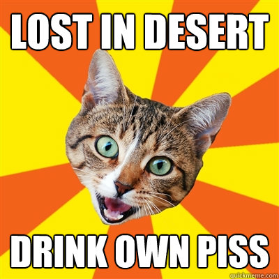 LOST IN DESERT DRINK OWN PISS  Bad Advice Cat