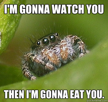 I'm gonna watch you Then I'm gonna eat you.  Misunderstood Spider