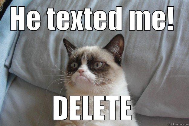 Grumpy cat boyfriend - HE TEXTED ME! DELETE Grumpy Cat