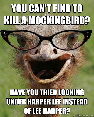 You Can't Find To Kill a Mockingbird? Have you tried looking under Harper Lee instead of Lee Harper?  Judgmental Bookseller Ostrich