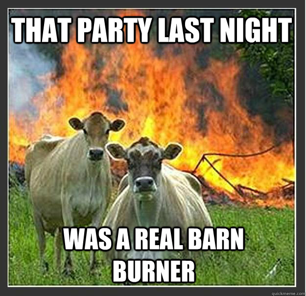 that party last night was a real barn burner  Evil cows