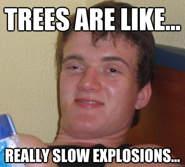 Trees Are like... really slow explosions...  10 Guy