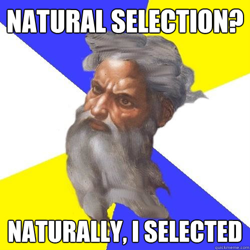 natural selection? naturally, i selected  Advice God