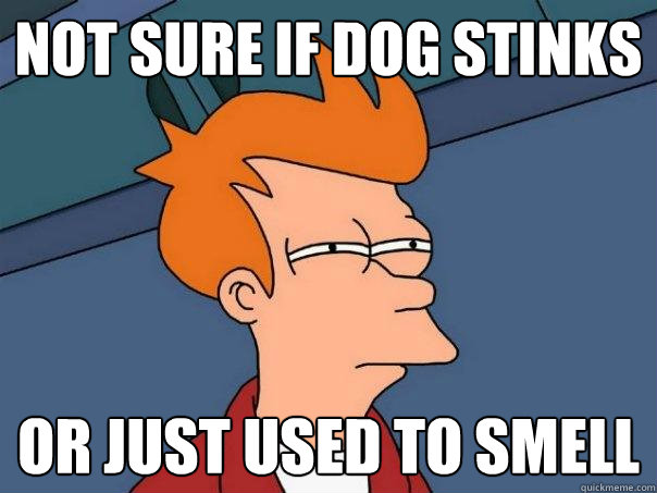 Not sure if dog stinks or just used to smell  Futurama Fry