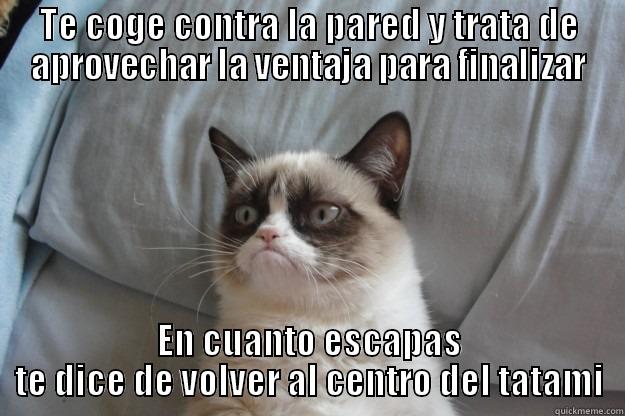 TE COGE CONTRA LA PARED Y TRATA DE APROVECHAR LA VENTAJA PARA FINALIZAR EN CUANTO ESCAPAS TE DICE DE VOLVER AL CENTRO DEL TATAMI Grumpy Cat