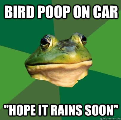 Bird poop on car 