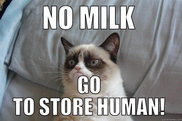 NO MILK GO TO STORE HUMAN! Grumpy Cat