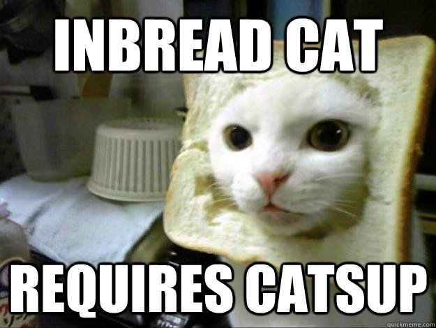 inbread cat requires catsup - inbread cat requires catsup  Inbread cat