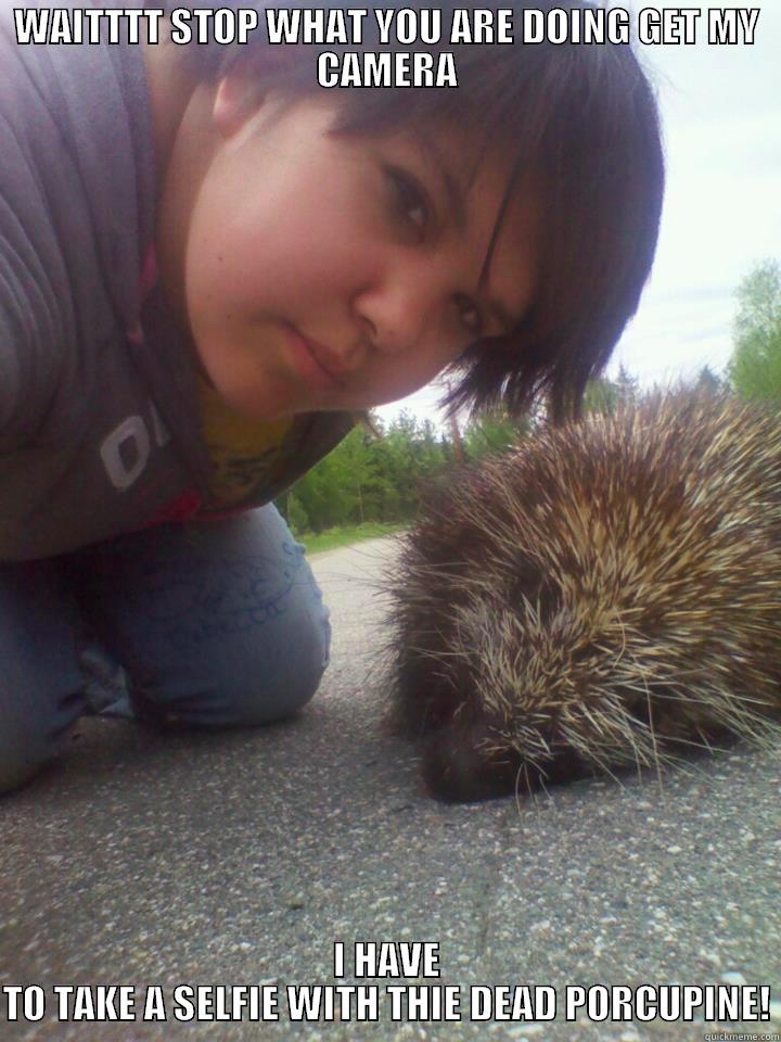 WAITTTT STOP WHAT YOU ARE DOING GET MY CAMERA I HAVE TO TAKE A SELFIE WITH THIE DEAD PORCUPINE! Misc