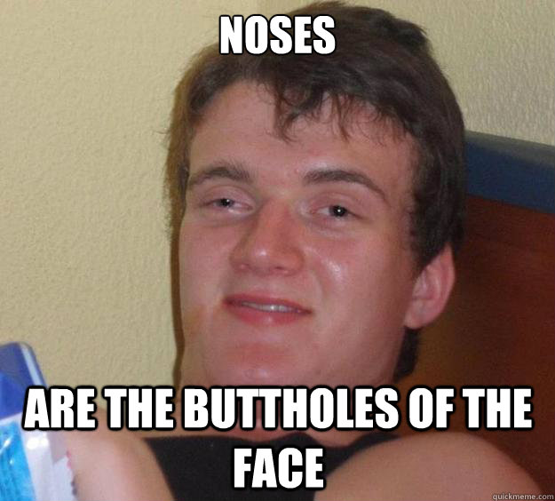 Noses Are the buttholes of the face  10 Guy