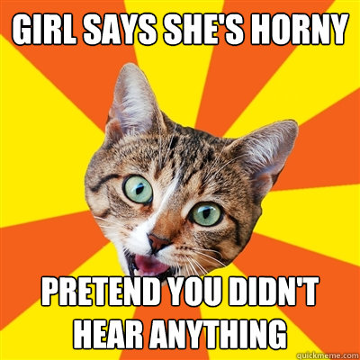 girl says she's horny pretend you didn't hear anything  Bad Advice Cat