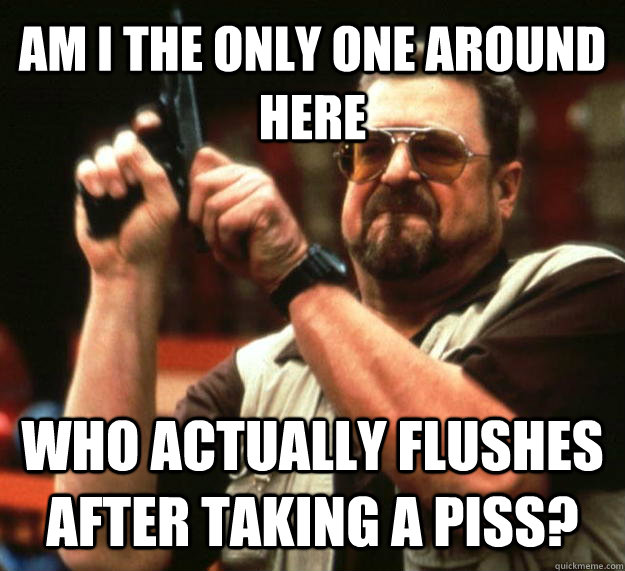 AM I THE ONLY ONE AROUND HERE who actually flushes after taking a piss?  Angry Walter