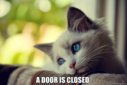  A door is closed  First World Problems Cat