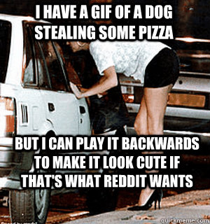 I have a GIF of a dog stealing some pizza But I can play it backwards to make it look cute if that's what reddit wants  Karma Whore