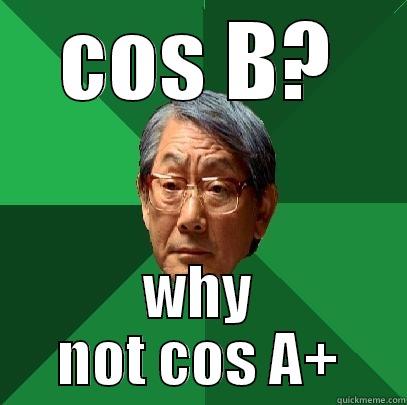 COS B? WHY NOT COS A+ High Expectations Asian Father