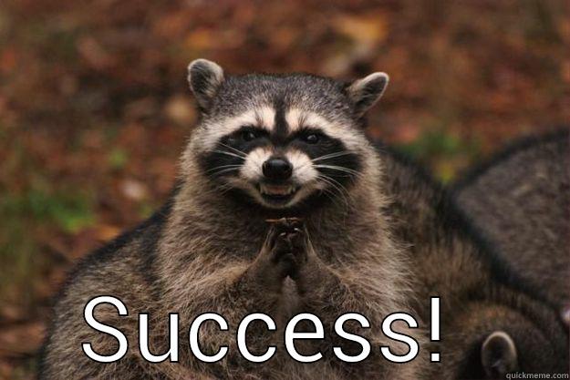  SUCCESS!  Evil Plotting Raccoon