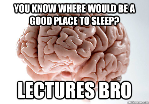 You know where would be a good place to sleep? Lectures bro  Scumbag Brain