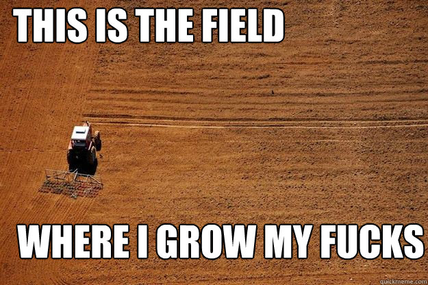 THIS IS THE FIELD WHERE i grow my fucks - THIS IS THE FIELD WHERE i grow my fucks  Barren Field