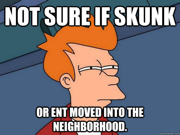 Not sure if skunk Or ent moved into the neighborhood.  Futurama Fry