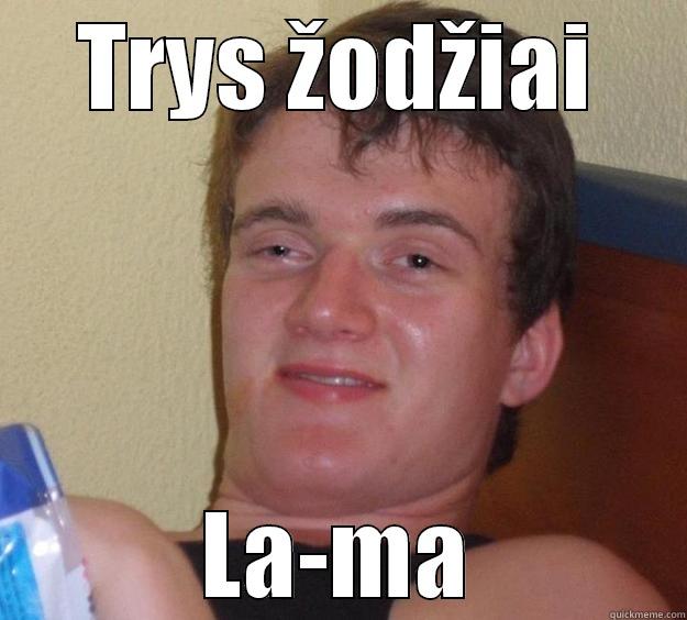 TRYS ŽODŽIAI LA-MA 10 Guy