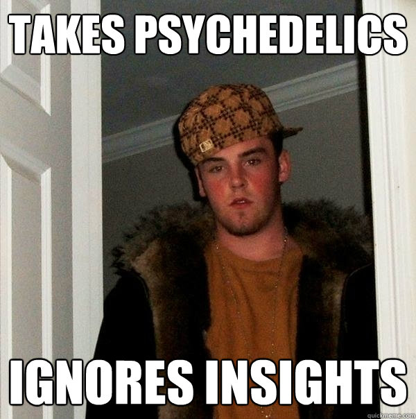 takes psychedelics ignores insights   Scumbag Steve