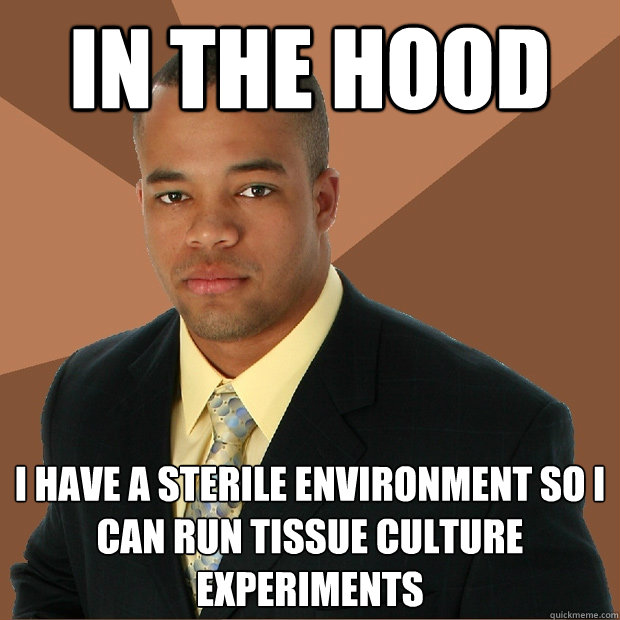 In the Hood I have a sterile environment so I can run tissue culture experiments  Successful Black Man