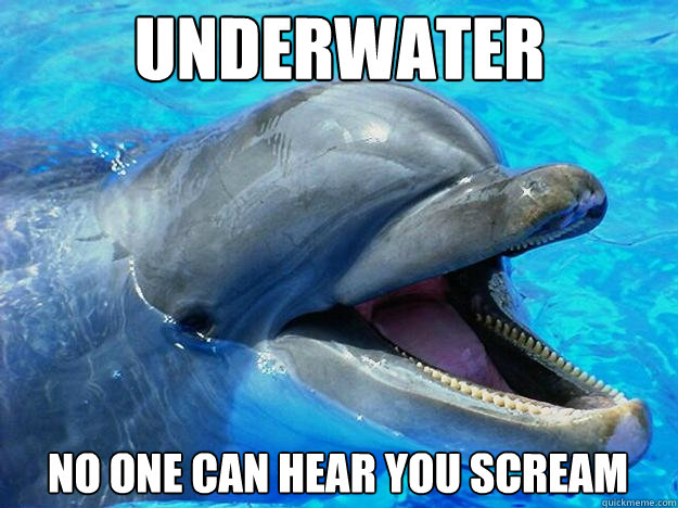 underwater no one can hear you scream - underwater no one can hear you scream  Dolphin days