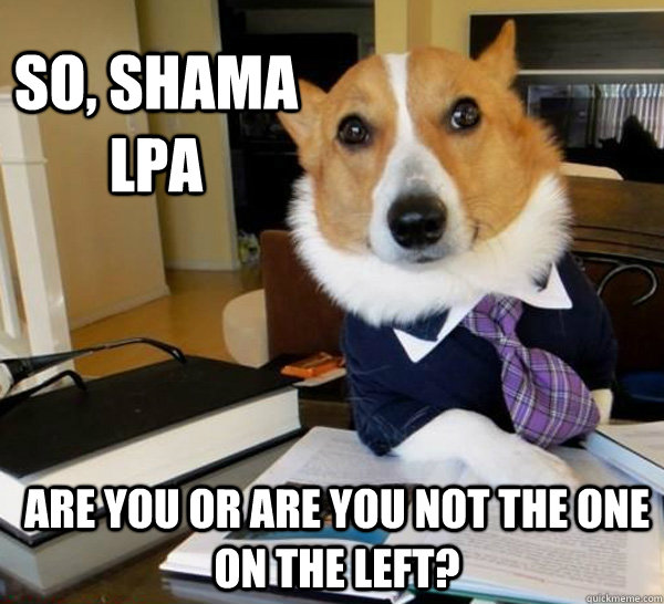 So, shama lpa are you or are you not the one on the left?  Lawyer Dog