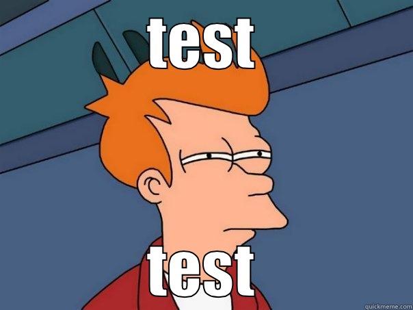 TEST TEST Futurama Fry