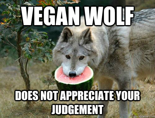 Vegan wolf Does not appreciate your judgement - Vegan wolf Does not appreciate your judgement  Vegan Wolf