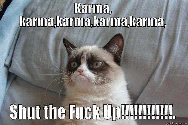 karma chamelecat. - KARMA, KARMA,KARMA,KARMA,KARMA, SHUT THE FUCK UP!!!!!!!!!!!!. Grumpy Cat