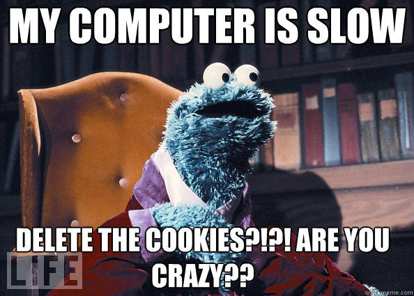 my computer is slow delete the cookies?!?! ARE YOU CRAZY??  