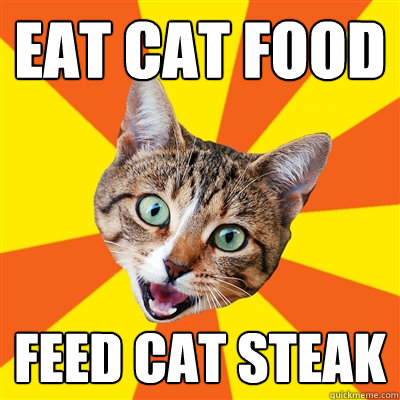 EAT CAT FOOD FEED CAT STEAK  Bad Advice Cat