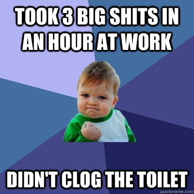 Took 3 big shits in an hour at work Didn't Clog the Toilet  Success Kid