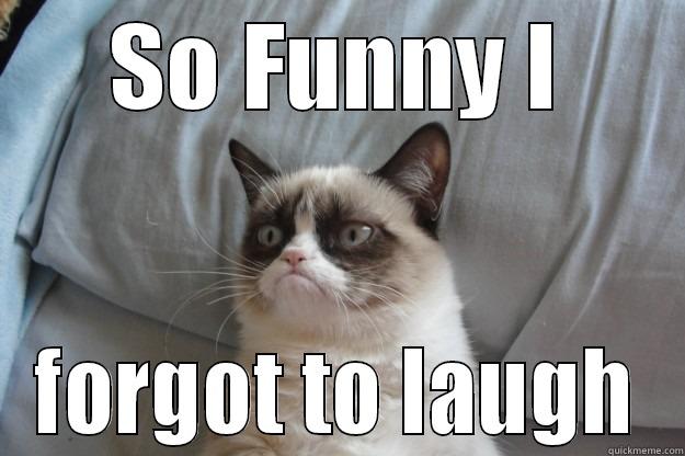 SO FUNNY I FORGOT TO LAUGH Grumpy Cat