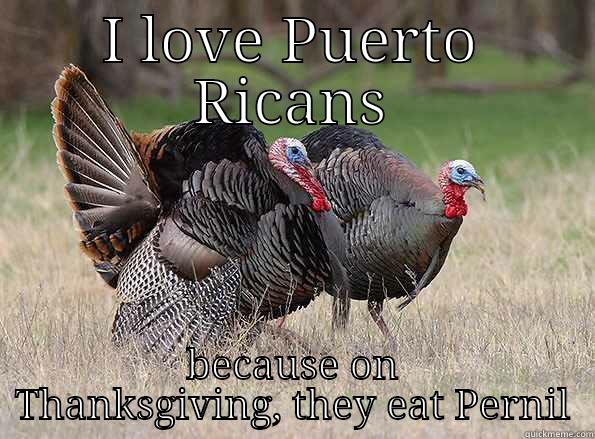 Pleased Turkeys - I LOVE PUERTO RICANS BECAUSE ON THANKSGIVING, THEY EAT PERNIL Misc