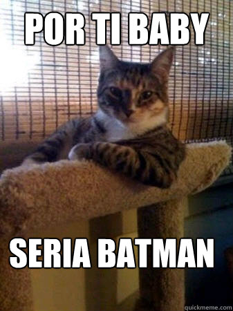 Por ti baby  seria batman  The Most Interesting Cat in the World