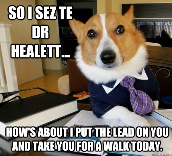 SO I sez te dr healett... how's about i put the lead on you and take you for a walk today.  Lawyer Dog