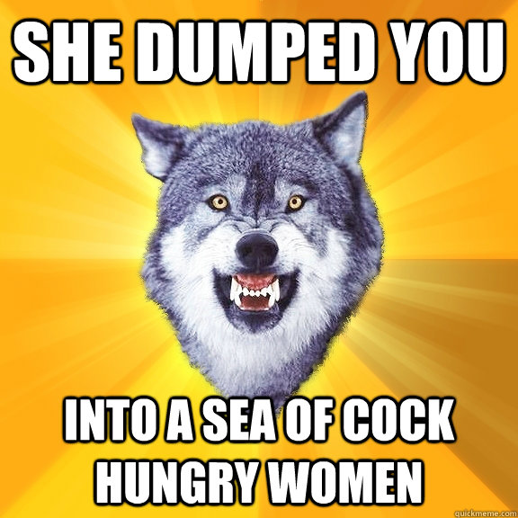 She dumped you into a sea of cock hungry women  Courage Wolf