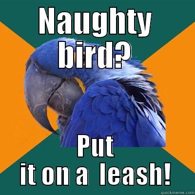 NAUGHTY BIRD? PUT IT ON A  LEASH! Paranoid Parrot