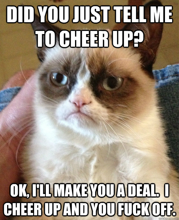 Did you just tell me to cheer up? OK, I'll make you a deal.  I cheer up and you fuck off.  Grumpy Cat