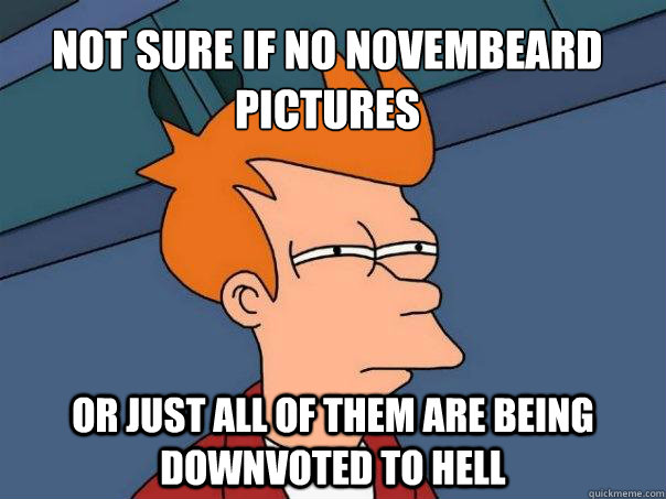 not sure if no novembeard pictures Or just all of them are being downvoted to hell  Futurama Fry