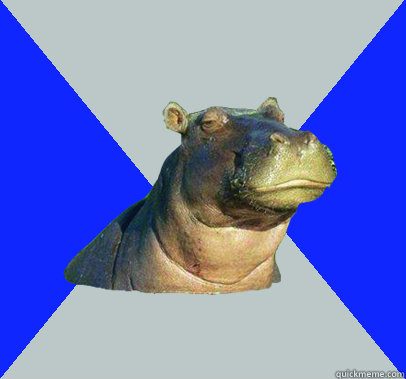    Skeptical Hippo