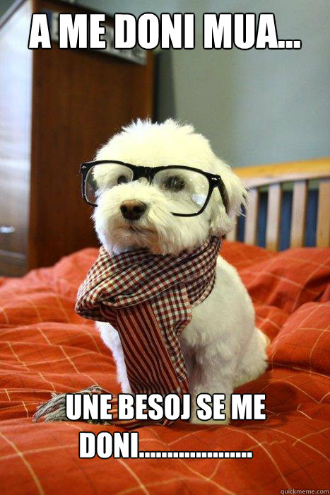 A me doni mua... Une besoj se me doni....................  Hipster Dog