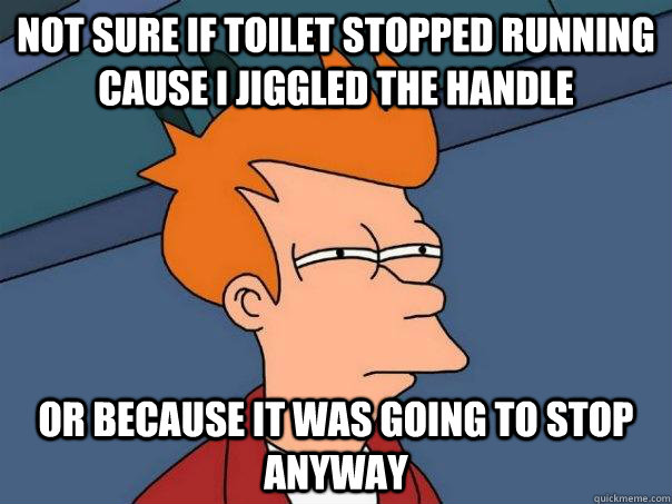 Not sure if toilet stopped running cause i jiggled the handle Or because it was going to stop anyway  Futurama Fry