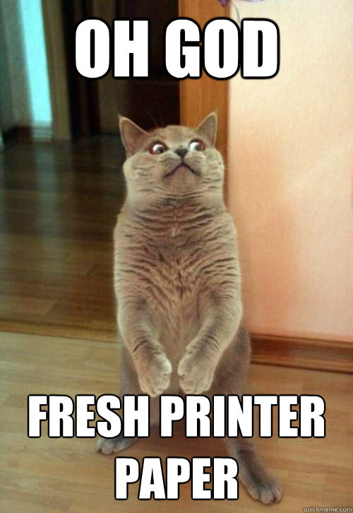 oh god fresh printer paper - oh god fresh printer paper  Horrorcat